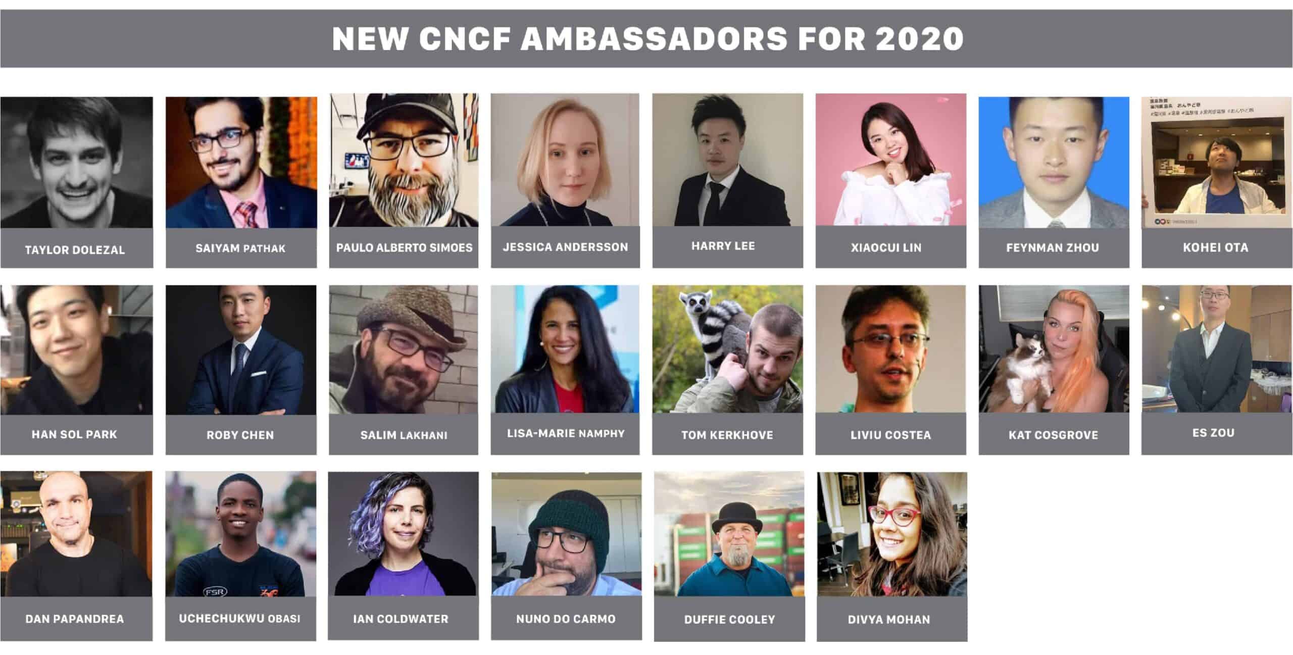 New ambassadors for 2020
