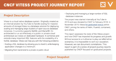 Vitess Project Journey Report