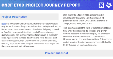 etcd Project Journey Report